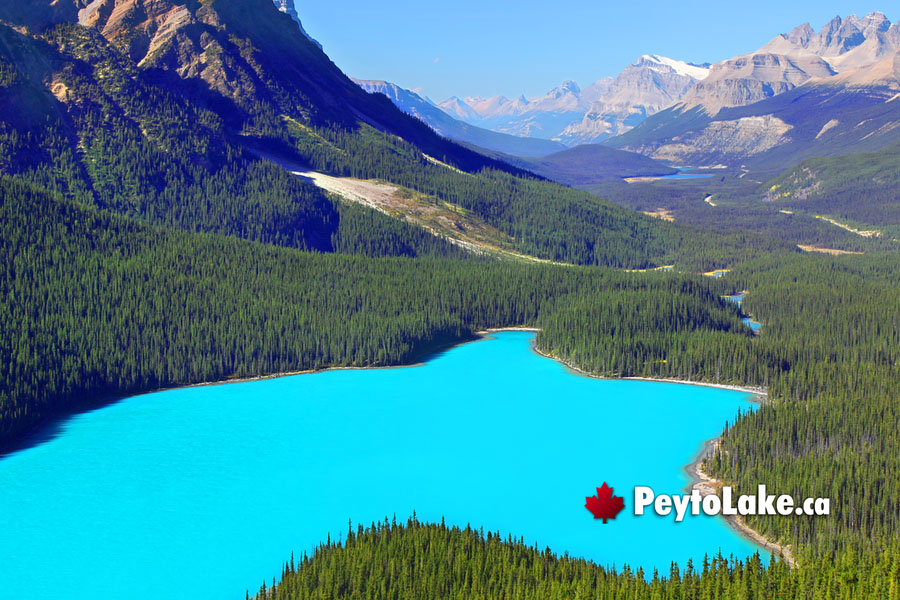 November at Peyto Lake