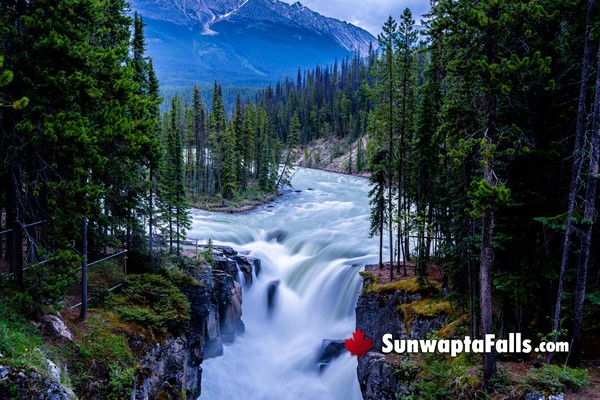 Sunwapta Falls in November